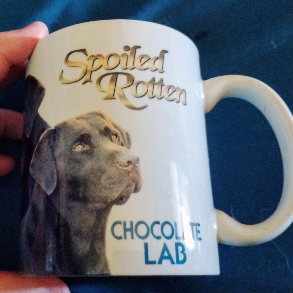 Spoiled Rotten Chocolate Lab Mug